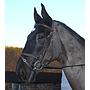 Hanging Grooming Box, Bound Silver, Silver Rope, EQ Logo